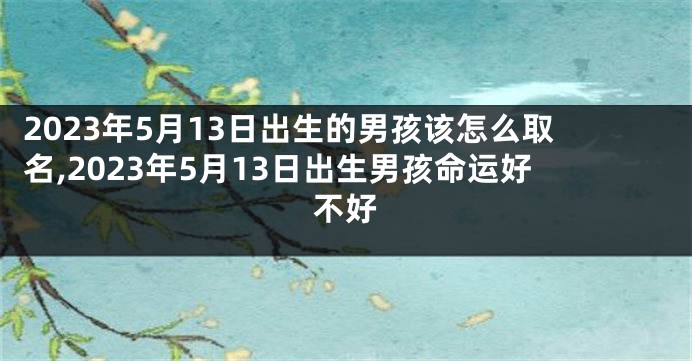 2023年5月13日出生的男孩该怎么取名,2023年5月13日出生男孩命运好不好