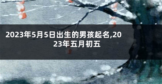 2023年5月5日出生的男孩起名,2023年五月初五