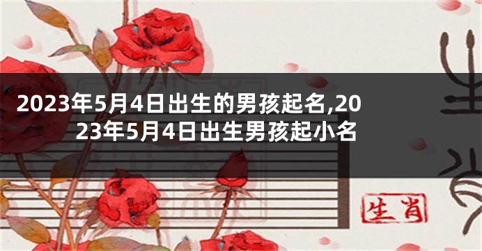 2023年5月4日出生的男孩起名,2023年5月4日出生男孩起小名