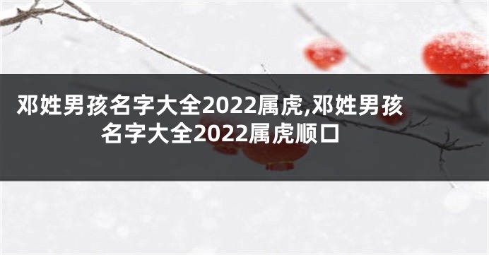邓姓男孩名字大全2022属虎,邓姓男孩名字大全2022属虎顺口