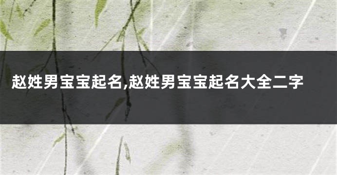 赵姓男宝宝起名,赵姓男宝宝起名大全二字
