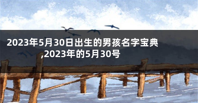 2023年5月30日出生的男孩名字宝典,2023年的5月30号