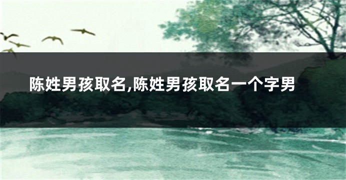 陈姓男孩取名,陈姓男孩取名一个字男