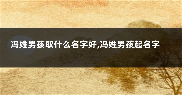 冯姓男孩取什么名字好,冯姓男孩起名字