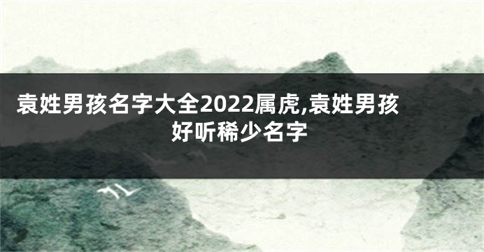 袁姓男孩名字大全2022属虎,袁姓男孩好听稀少名字