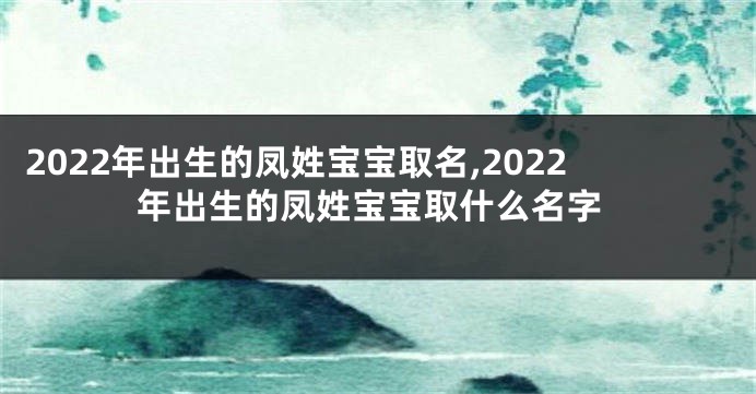 2022年出生的凤姓宝宝取名,2022年出生的凤姓宝宝取什么名字