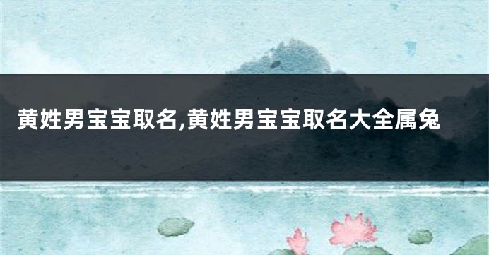 黄姓男宝宝取名,黄姓男宝宝取名大全属兔