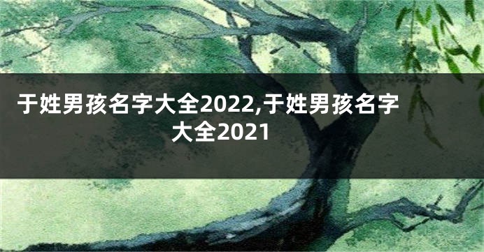 于姓男孩名字大全2022,于姓男孩名字大全2021
