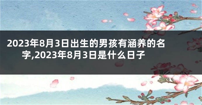 2023年8月3日出生的男孩有涵养的名字,2023年8月3日是什么日子