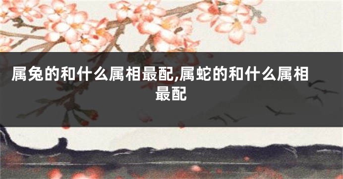 属兔的和什么属相最配,属蛇的和什么属相最配