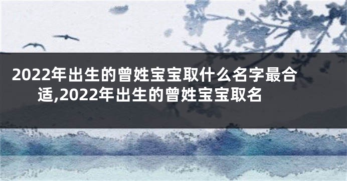 2022年出生的曾姓宝宝取什么名字最合适,2022年出生的曾姓宝宝取名