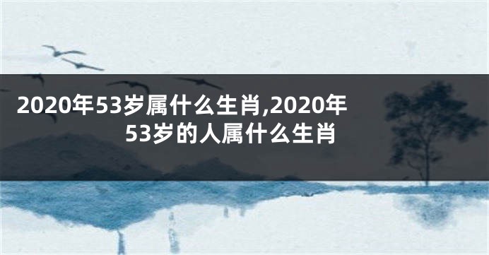 2020年53岁属什么生肖,2020年53岁的人属什么生肖