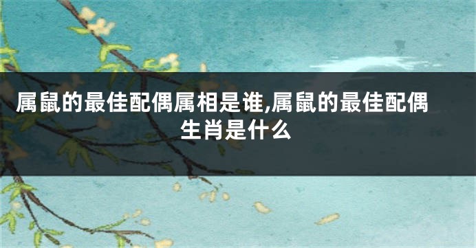 属鼠的最佳配偶属相是谁,属鼠的最佳配偶生肖是什么