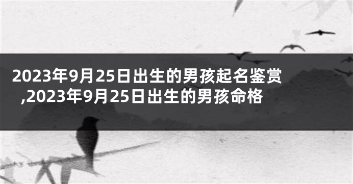 2023年9月25日出生的男孩起名鉴赏,2023年9月25日出生的男孩命格