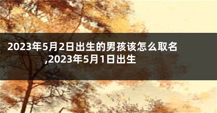 2023年5月2日出生的男孩该怎么取名,2023年5月1日出生