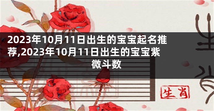 2023年10月11日出生的宝宝起名推荐,2023年10月11日出生的宝宝紫微斗数