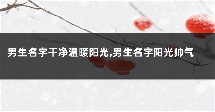 男生名字干净温暖阳光,男生名字阳光帅气