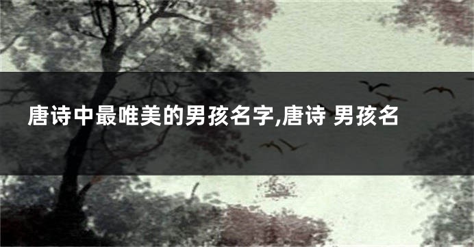 唐诗中最唯美的男孩名字,唐诗 男孩名