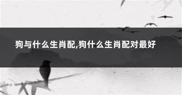 狗与什么生肖配,狗什么生肖配对最好