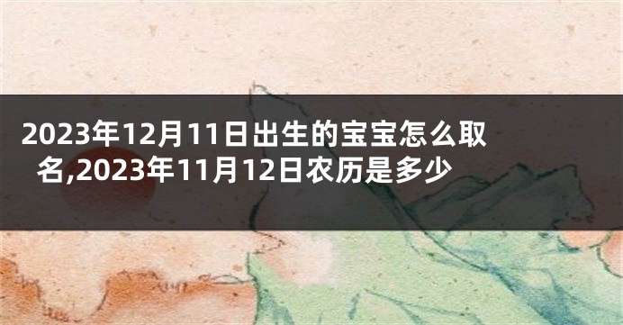 2023年12月11日出生的宝宝怎么取名,2023年11月12日农历是多少