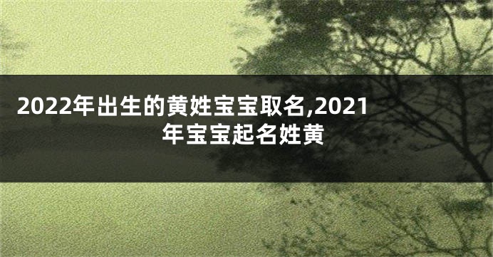 2022年出生的黄姓宝宝取名,2021年宝宝起名姓黄