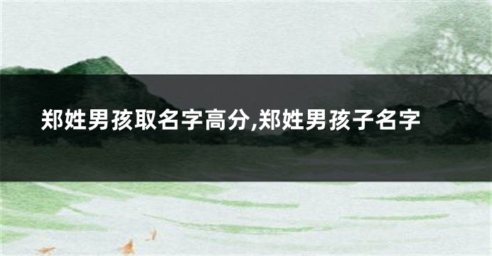 郑姓男孩取名字高分,郑姓男孩子名字