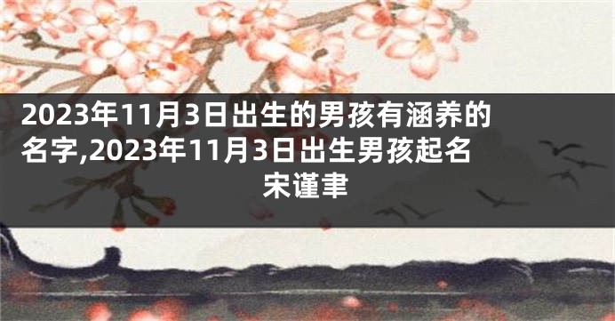 2023年11月3日出生的男孩有涵养的名字,2023年11月3日出生男孩起名宋谨聿