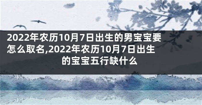 2022年农历10月7日出生的男宝宝要怎么取名,2022年农历10月7日出生的宝宝五行缺什么