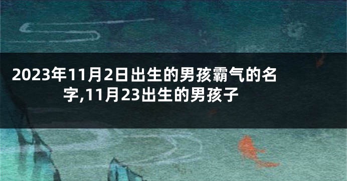 2023年11月2日出生的男孩霸气的名字,11月23出生的男孩子