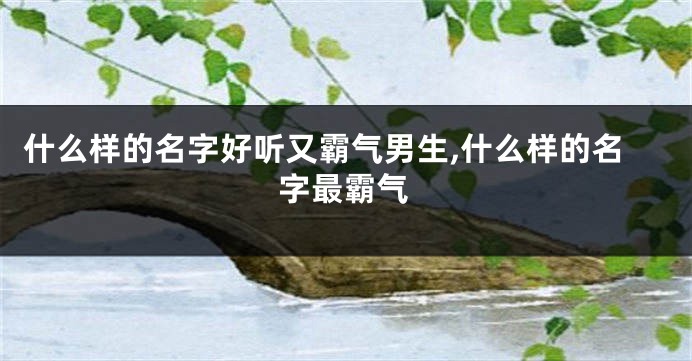 什么样的名字好听又霸气男生,什么样的名字最霸气