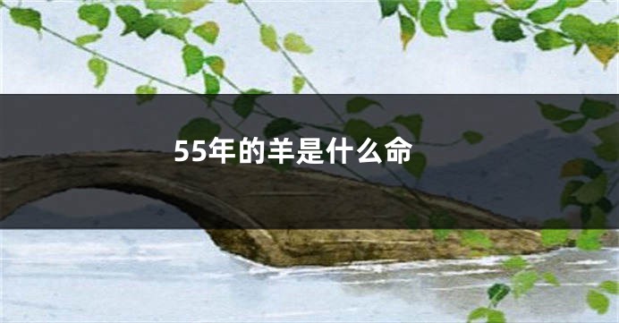55年的羊是什么命