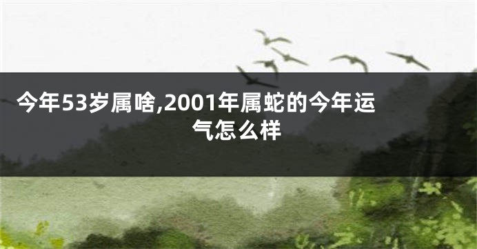 今年53岁属啥,2001年属蛇的今年运气怎么样