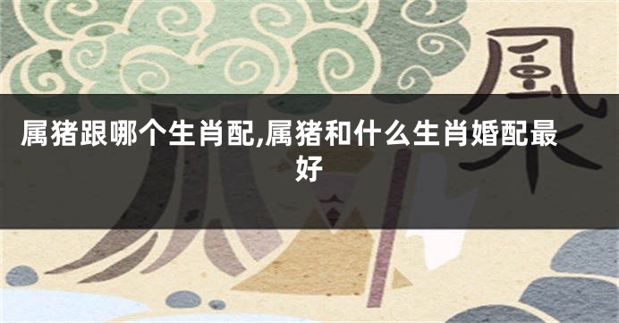 属猪跟哪个生肖配,属猪和什么生肖婚配最好