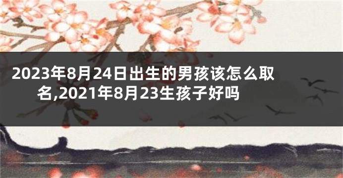 2023年8月24日出生的男孩该怎么取名,2021年8月23生孩子好吗