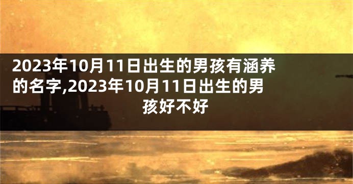 2023年10月11日出生的男孩有涵养的名字,2023年10月11日出生的男孩好不好