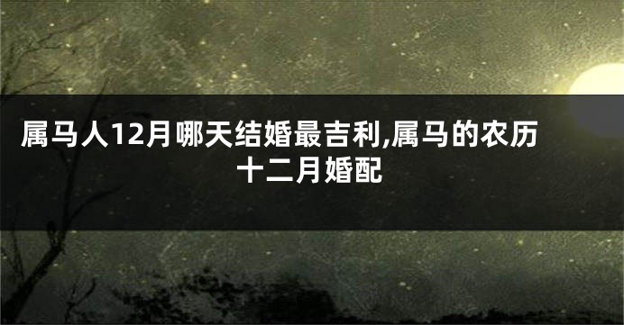 属马人12月哪天结婚最吉利,属马的农历十二月婚配