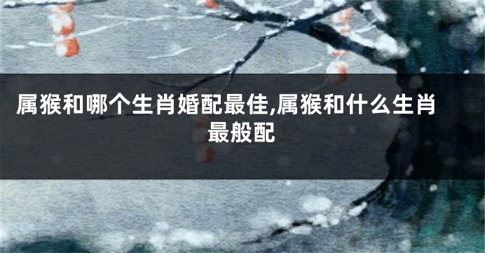 属猴和哪个生肖婚配最佳,属猴和什么生肖最般配