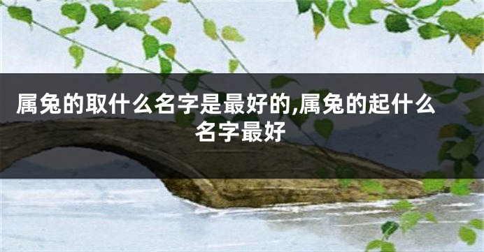 属兔的取什么名字是最好的,属兔的起什么名字最好