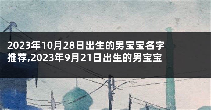 2023年10月28日出生的男宝宝名字推荐,2023年9月21日出生的男宝宝