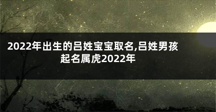2022年出生的吕姓宝宝取名,吕姓男孩起名属虎2022年
