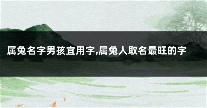 属兔名字男孩宜用字,属兔人取名最旺的字