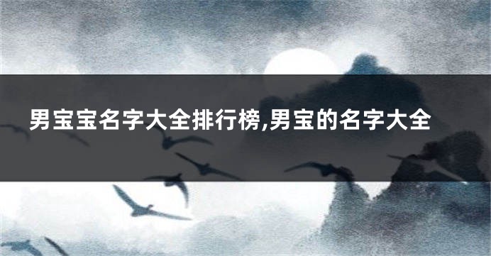 男宝宝名字大全排行榜,男宝的名字大全