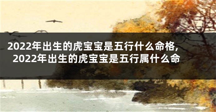 2022年出生的虎宝宝是五行什么命格,2022年出生的虎宝宝是五行属什么命