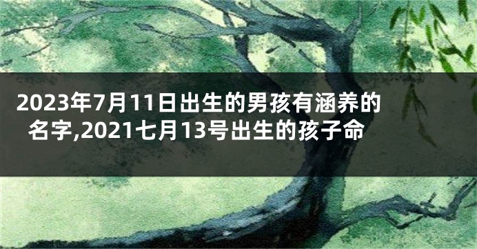 2023年7月11日出生的男孩有涵养的名字,2021七月13号出生的孩子命