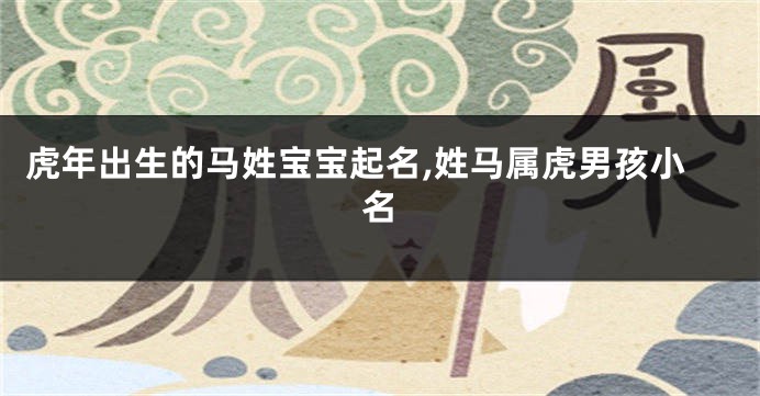 虎年出生的马姓宝宝起名,姓马属虎男孩小名