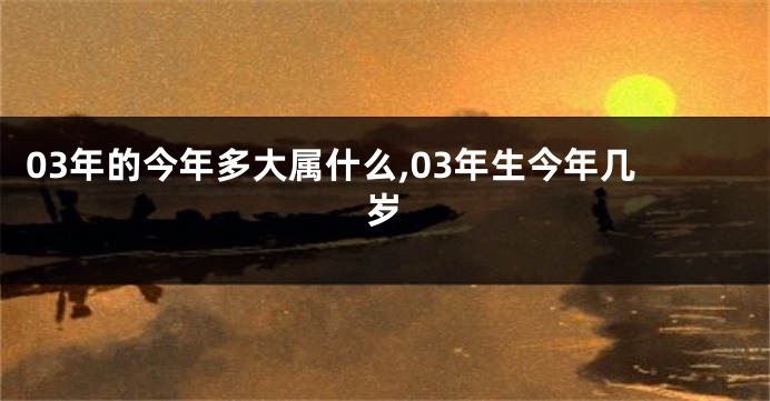 03年的今年多大属什么,03年生今年几岁