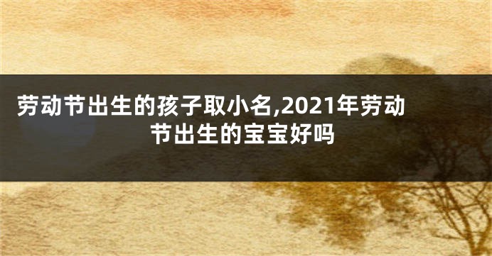 劳动节出生的孩子取小名,2021年劳动节出生的宝宝好吗
