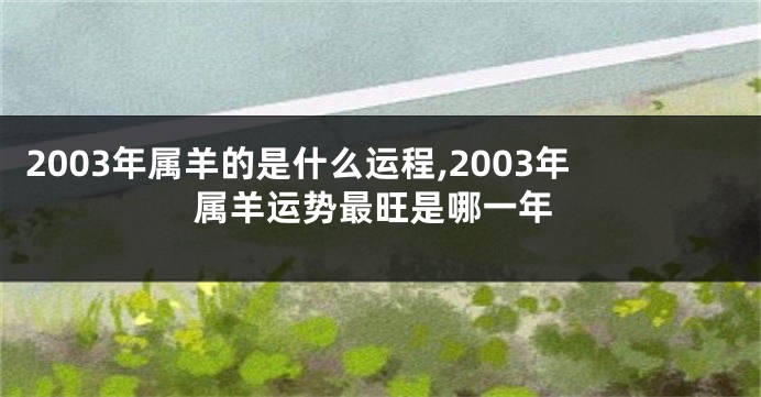 2003年属羊的是什么运程,2003年属羊运势最旺是哪一年