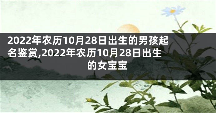 2022年农历10月28日出生的男孩起名鉴赏,2022年农历10月28日出生的女宝宝
