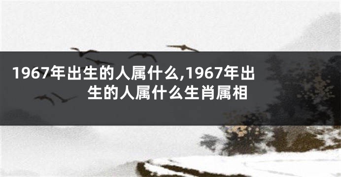 1967年出生的人属什么,1967年出生的人属什么生肖属相